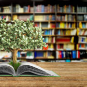 5 книг, которые читаются на одном дыхании